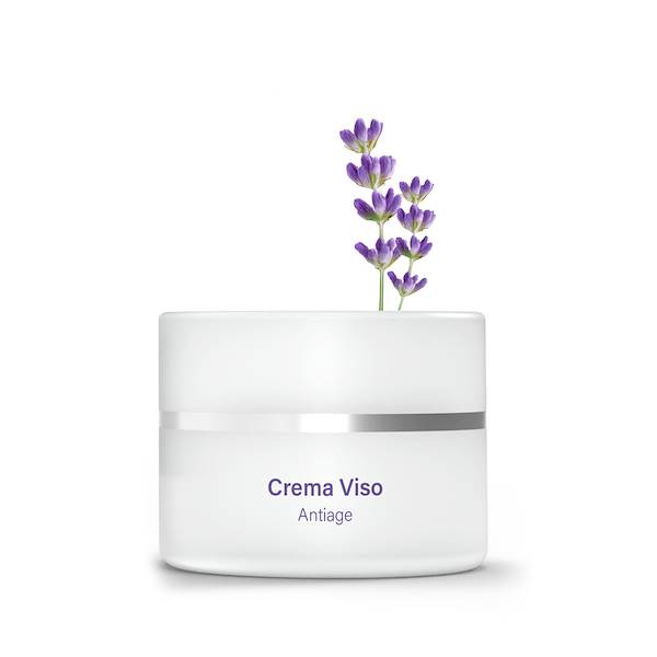 Crema Viso Anti Age Lavanescent